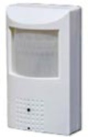 540 Lines Color PIR Sensor Covert Camera