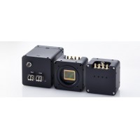 1" 4MP CMOSIS, 142fps, CoaXPress out, rear connector, C Mount, B/W